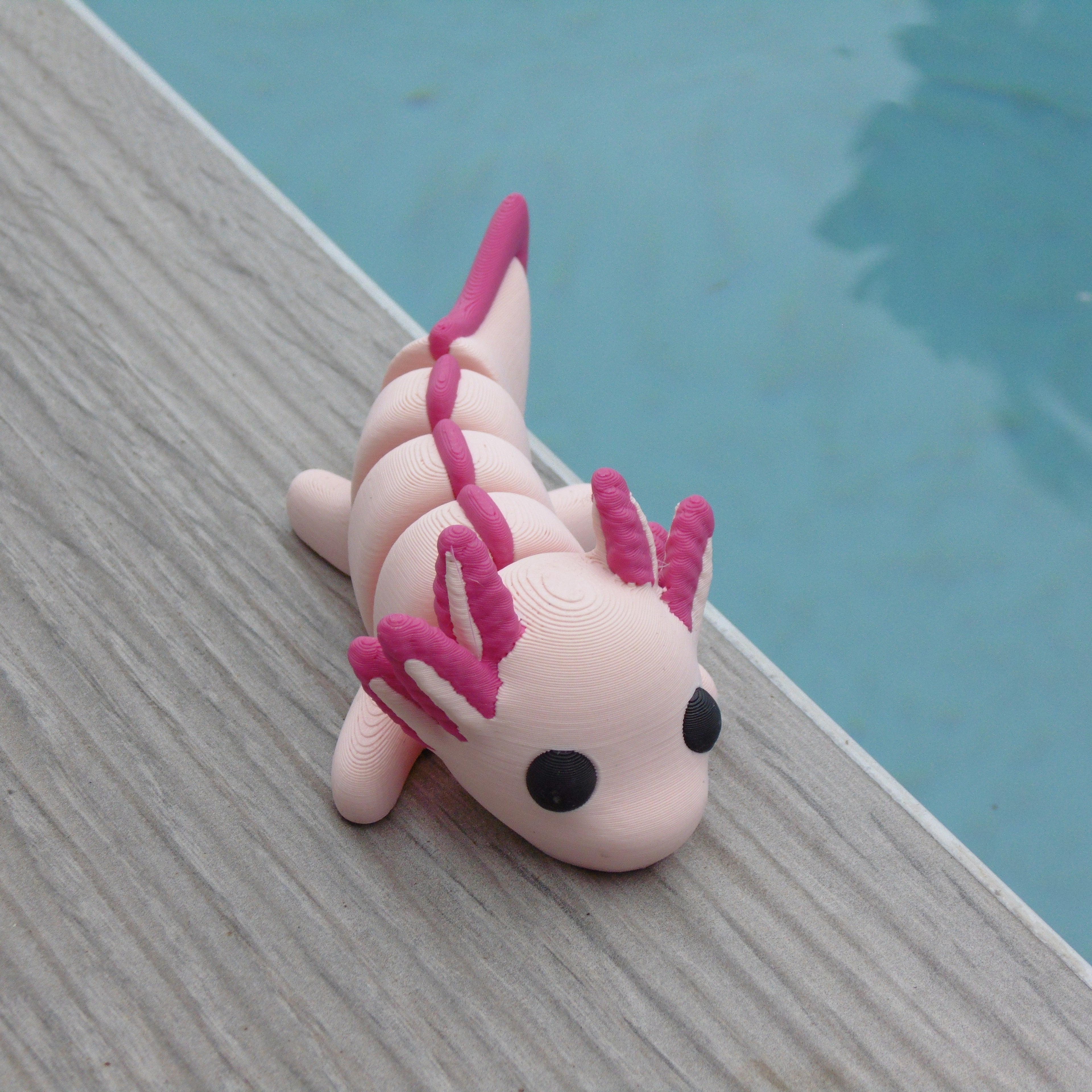 Axolotl