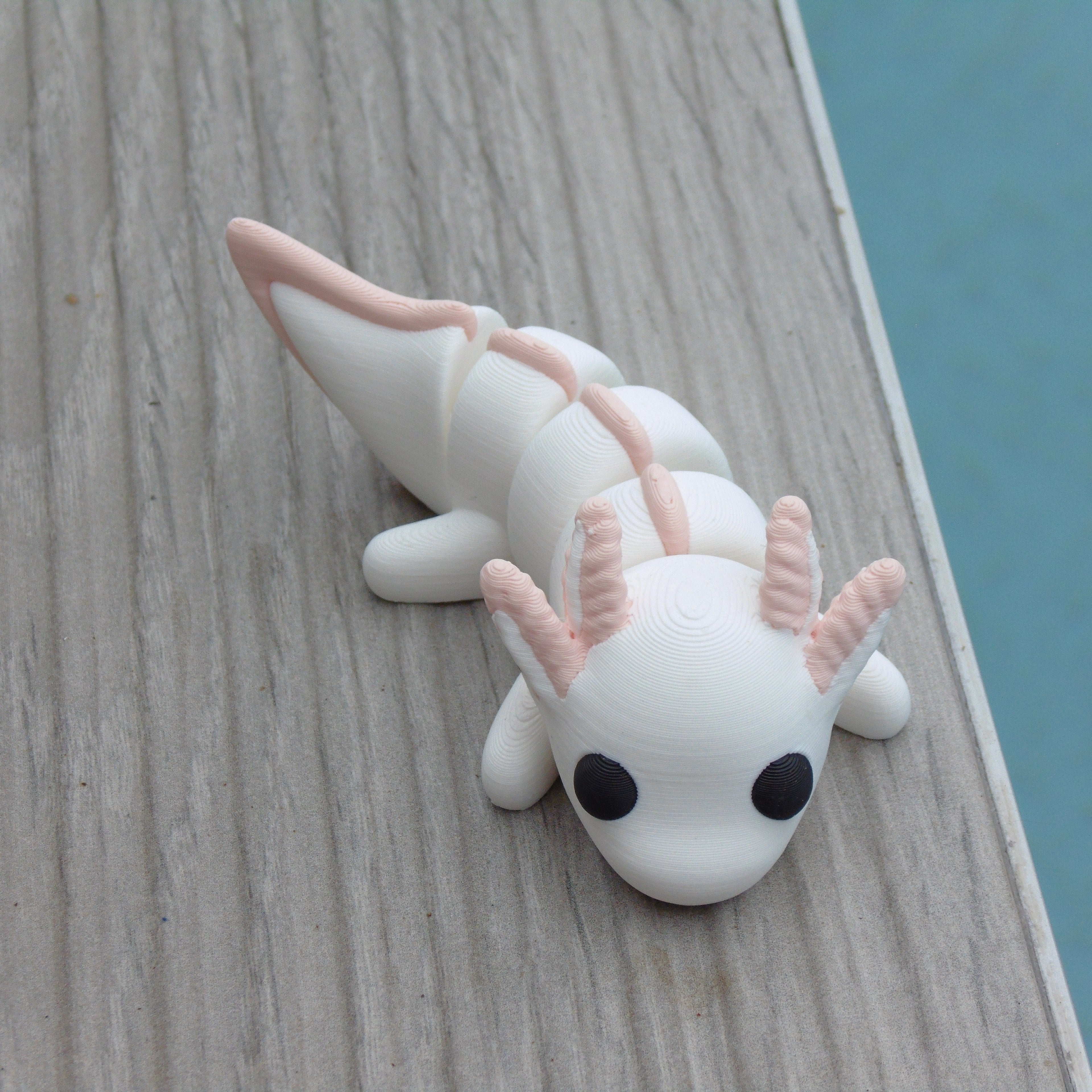 Axolotl