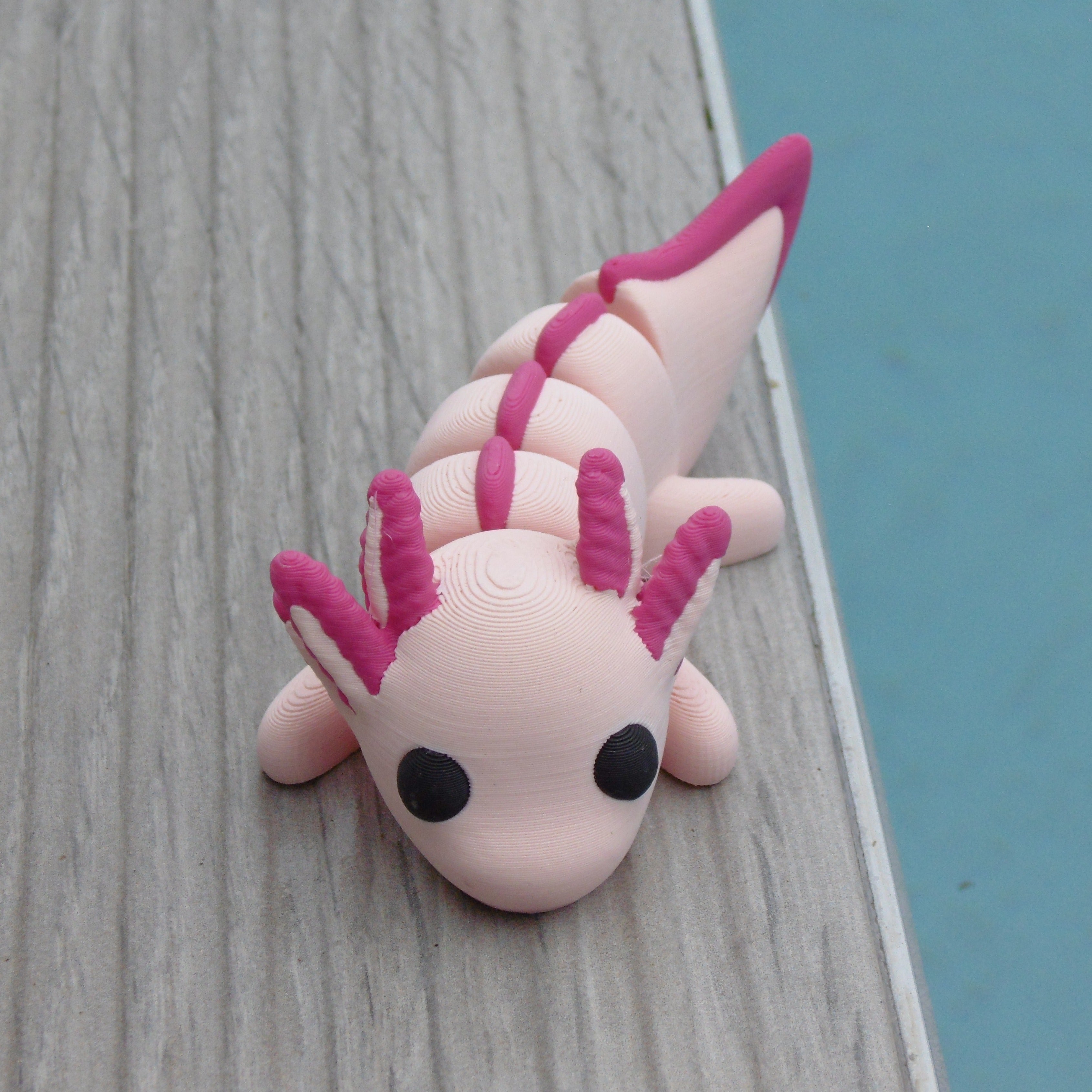 Axolotl