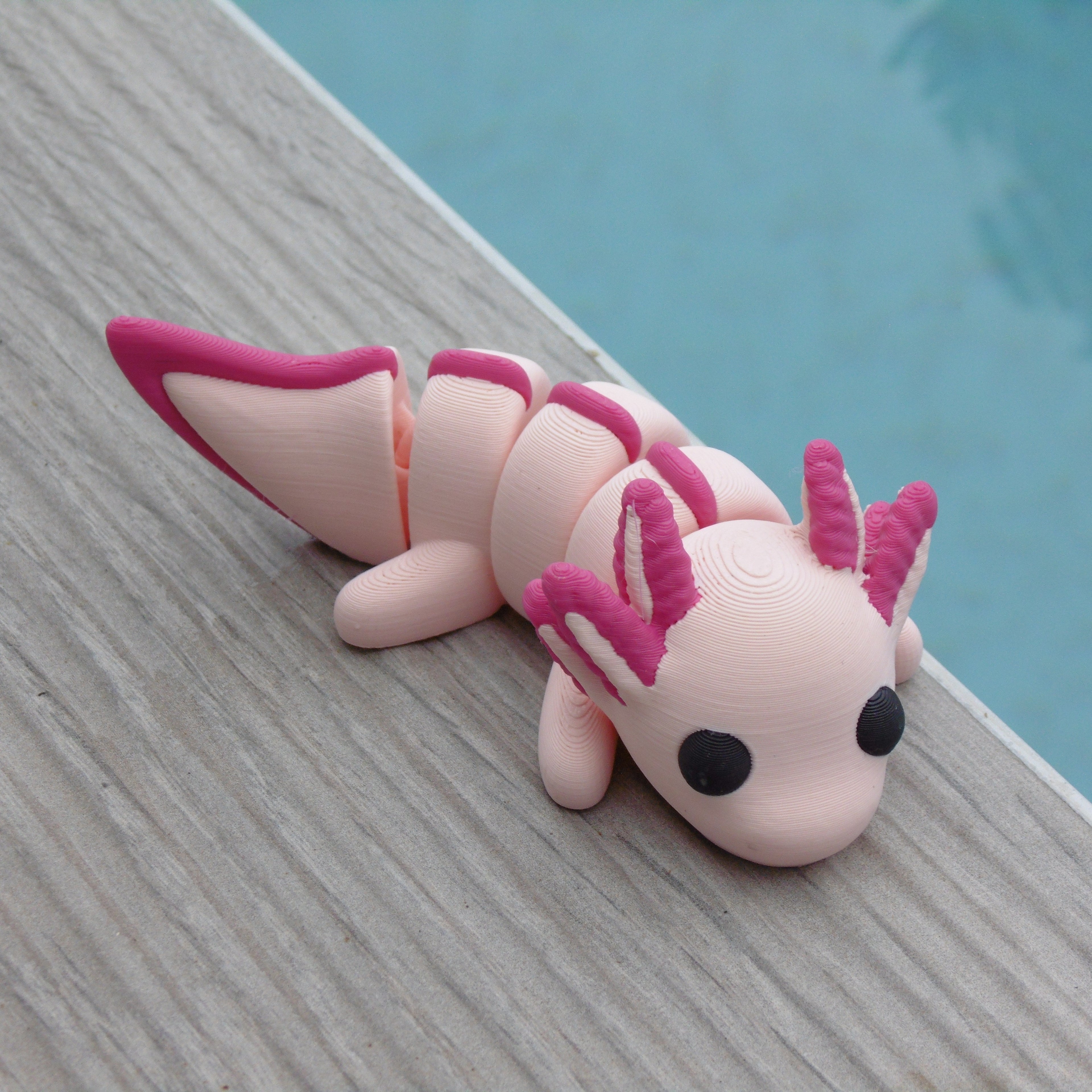 Axolotl