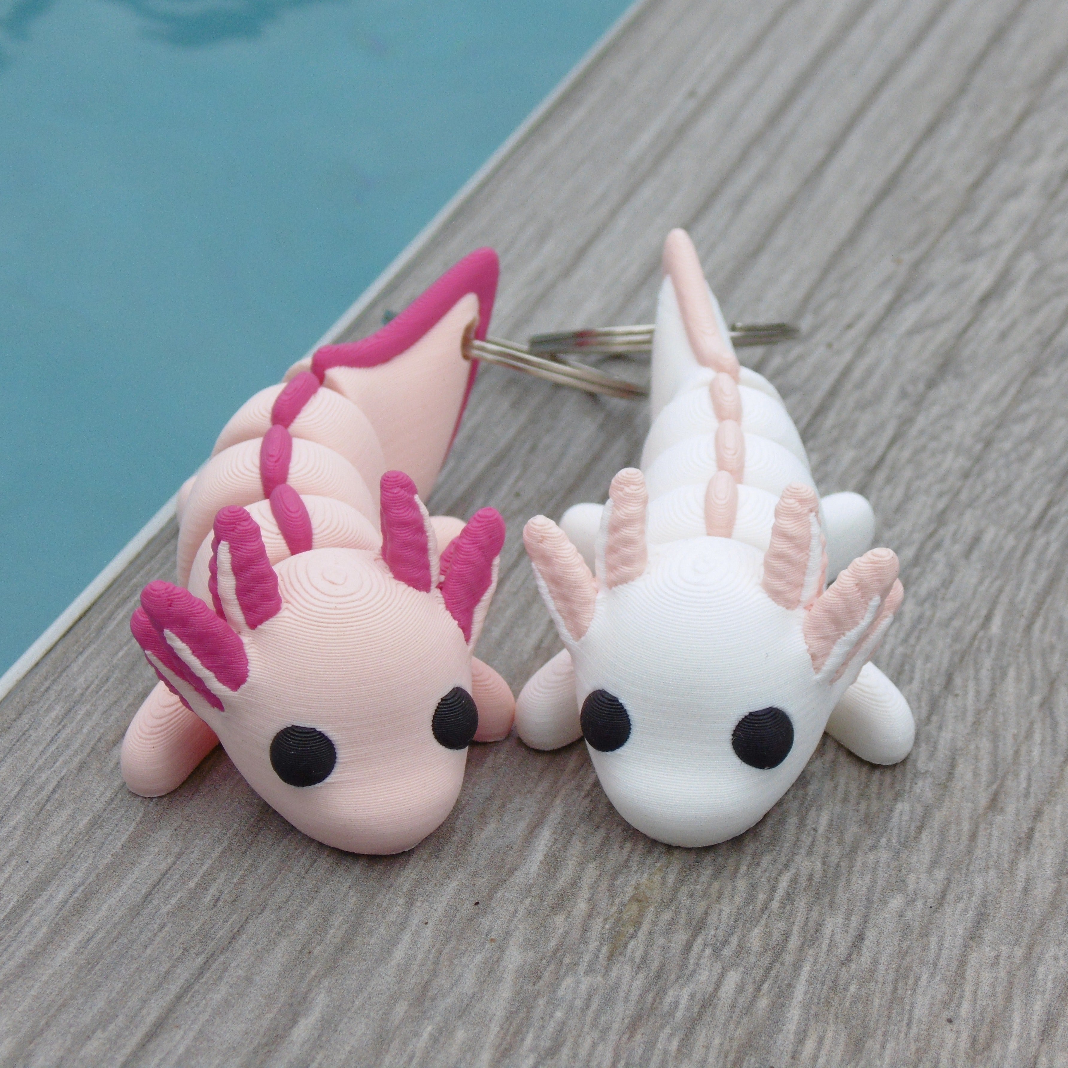 Axolotl