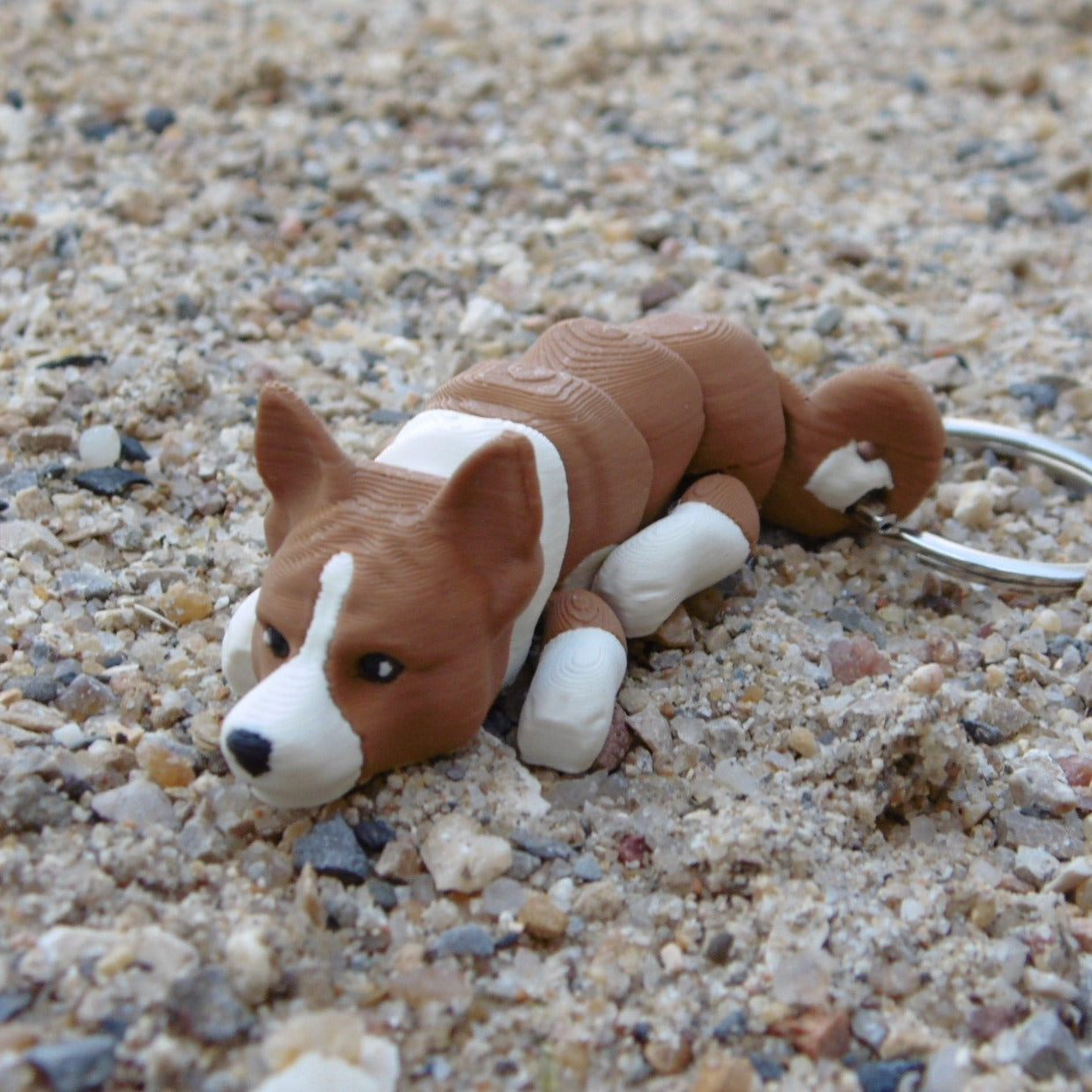 Basenji