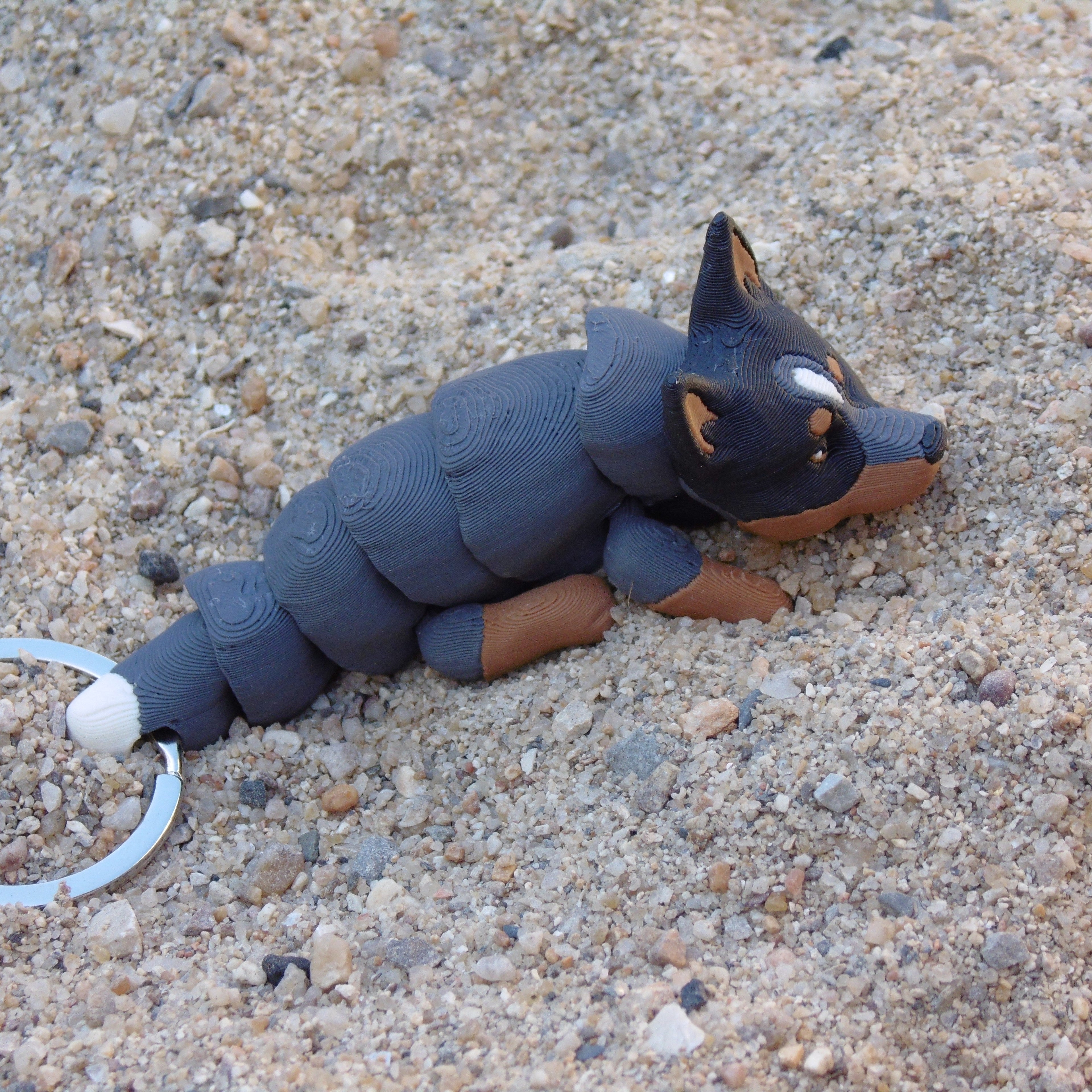 Boiadeiro Australiano