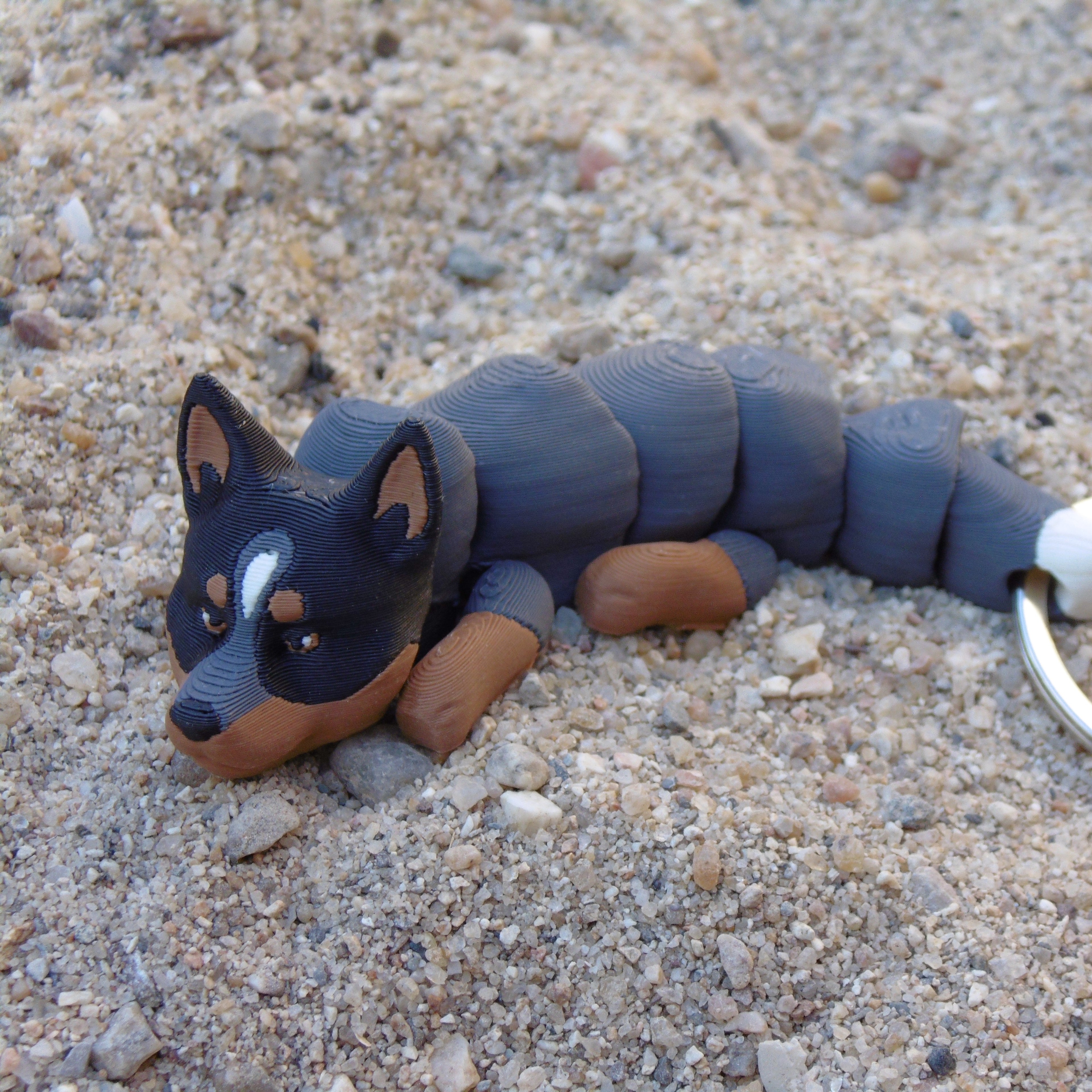 Boiadeiro Australiano