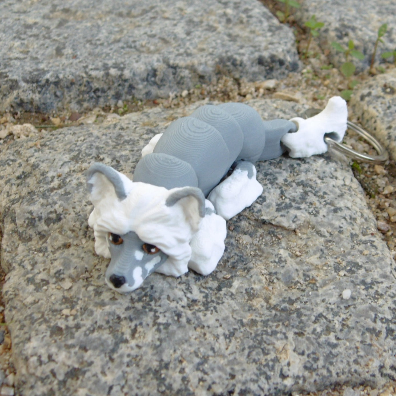 Cão de Crista Chinês