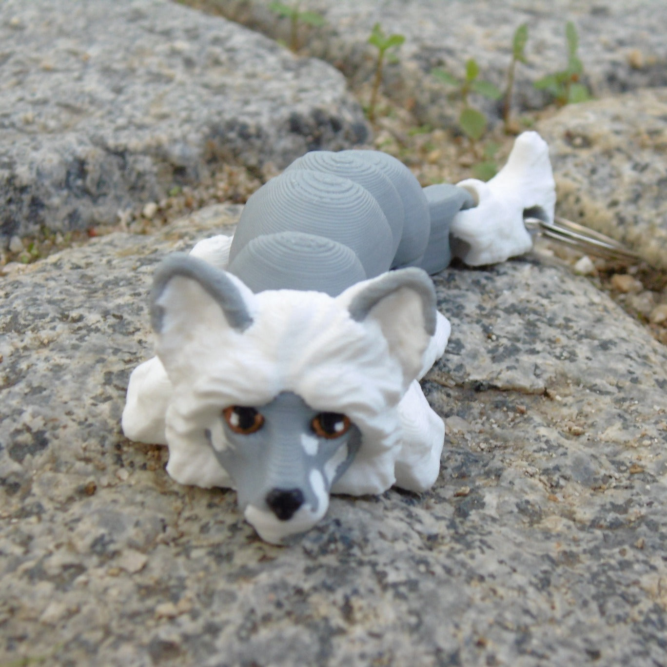 Cão de Crista Chinês