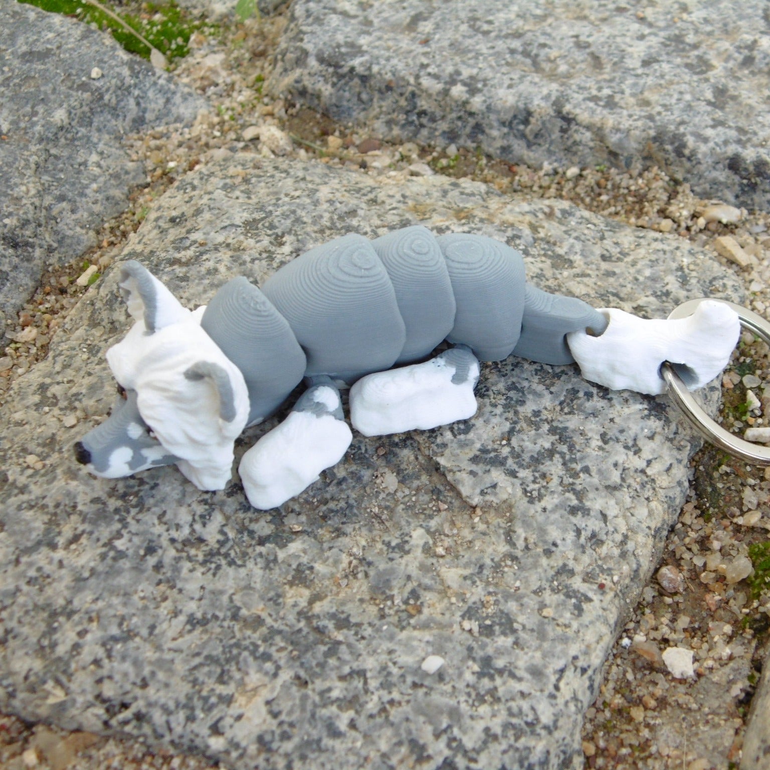 Cão de Crista Chinês