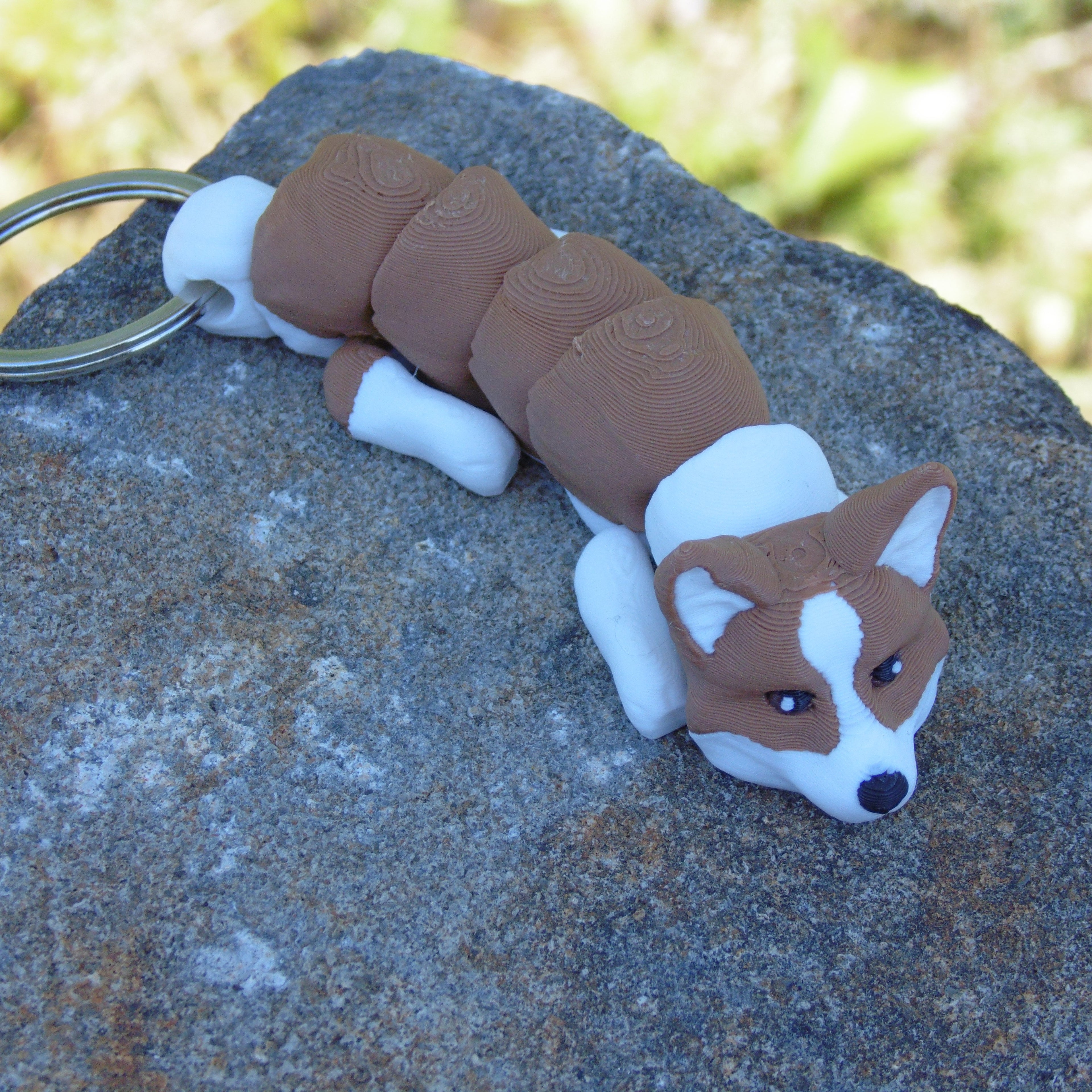 Corgi Pembroke