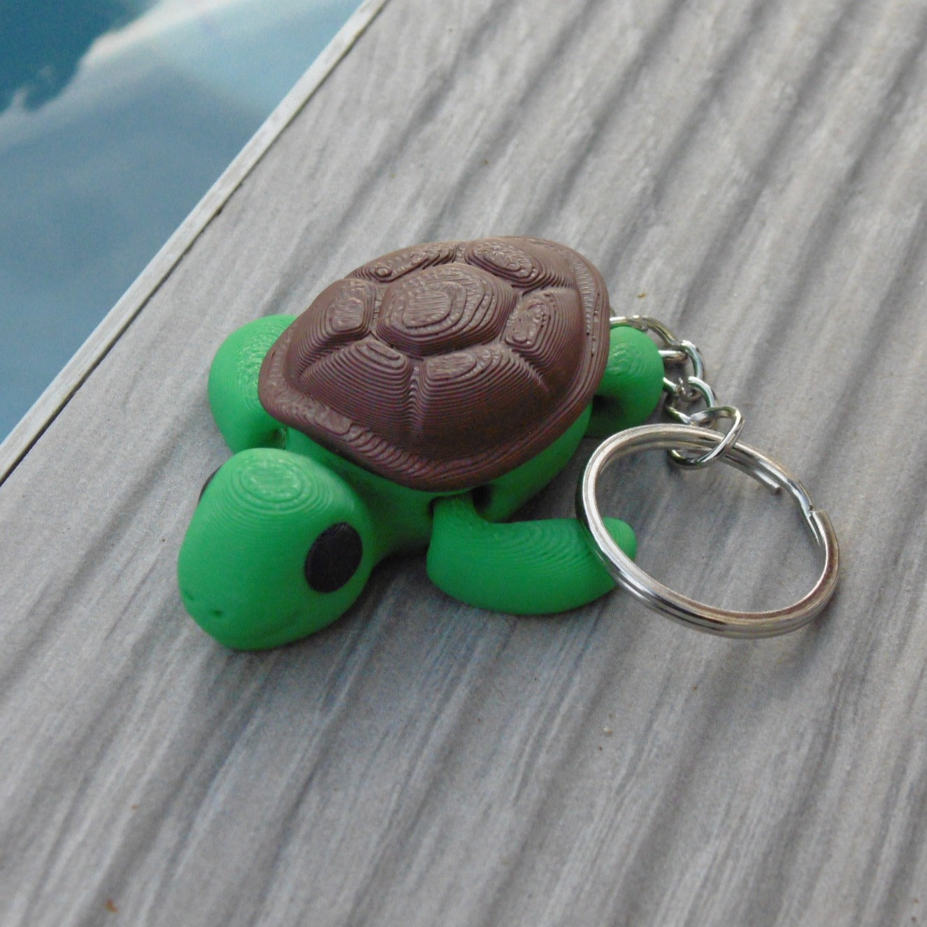 Turtle