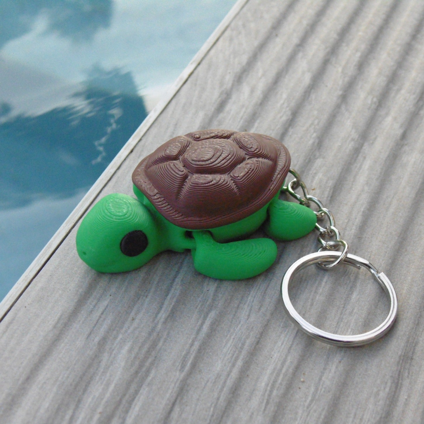 Turtle