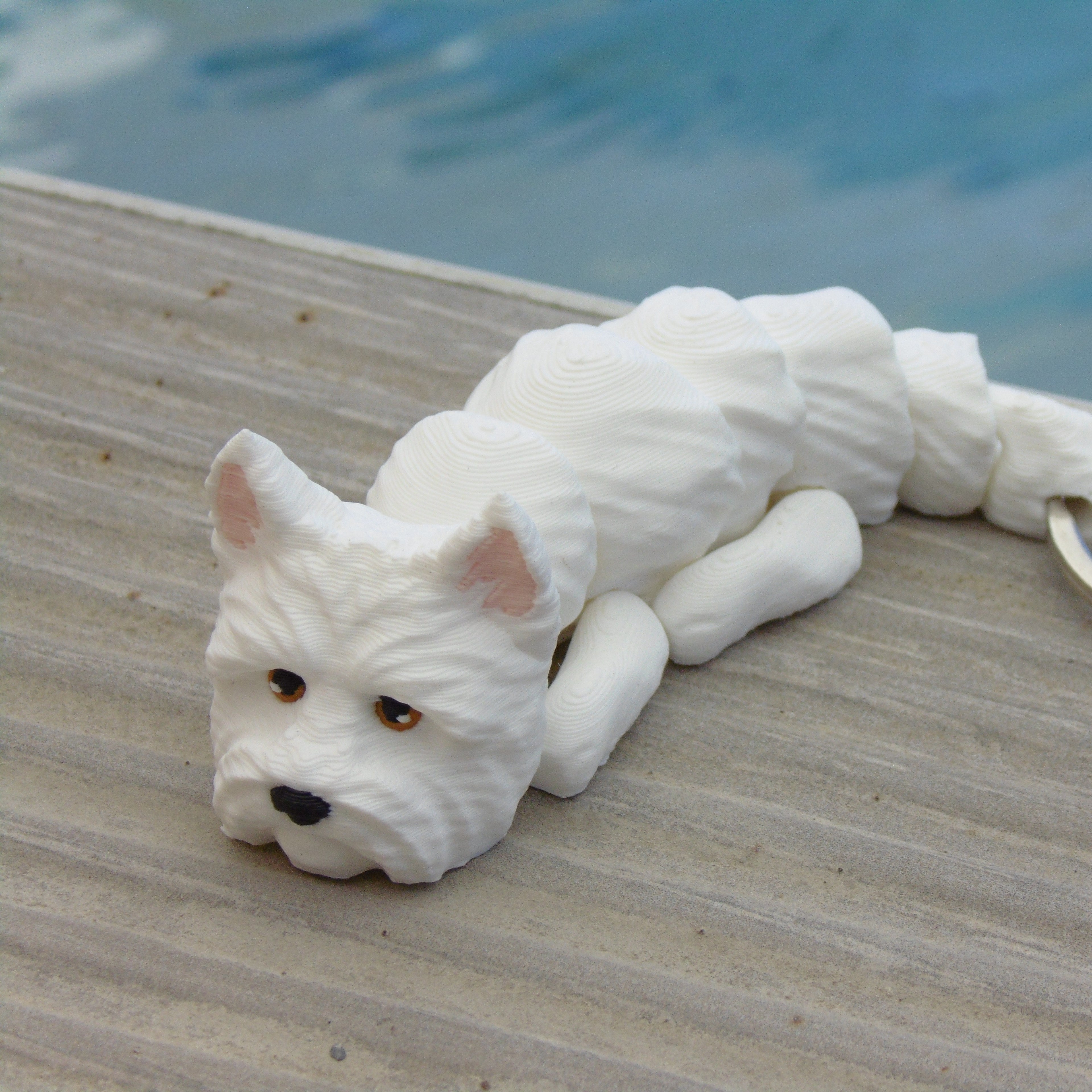 West Highland White Terrier